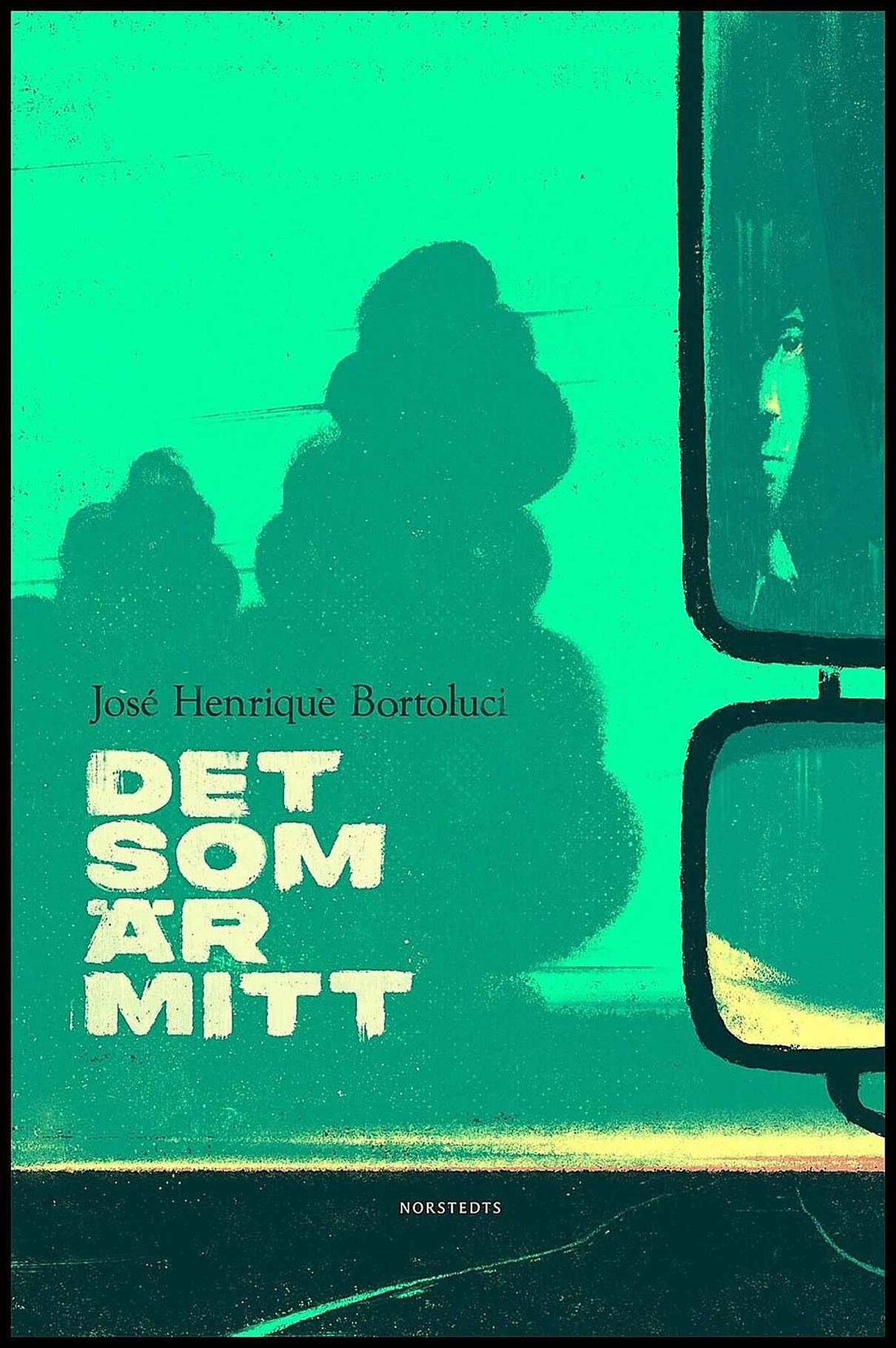 Boktips: Det som är mitt av Bortoluci, José Henrique