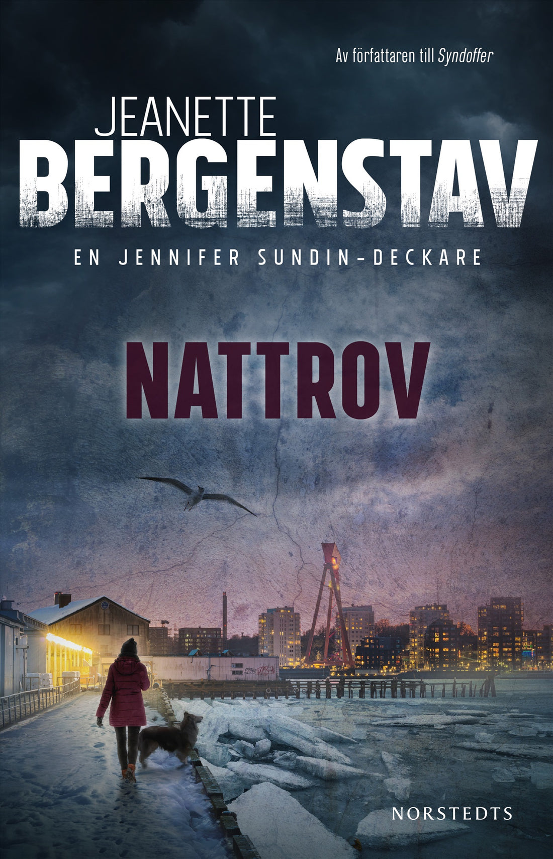 Boktips: Nattrov av Bergenstav, Jeanette