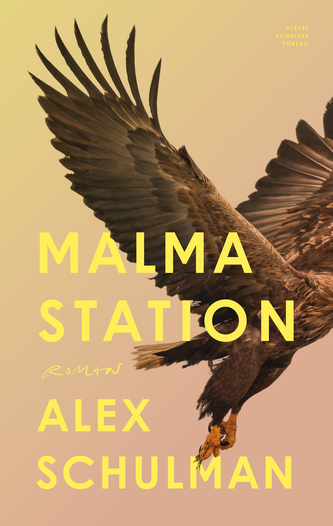 Boktips: Malma station av Schulman, Alex