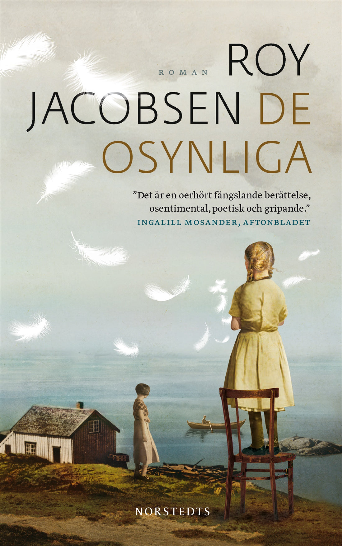 De osynliga av Roy Jacobsen