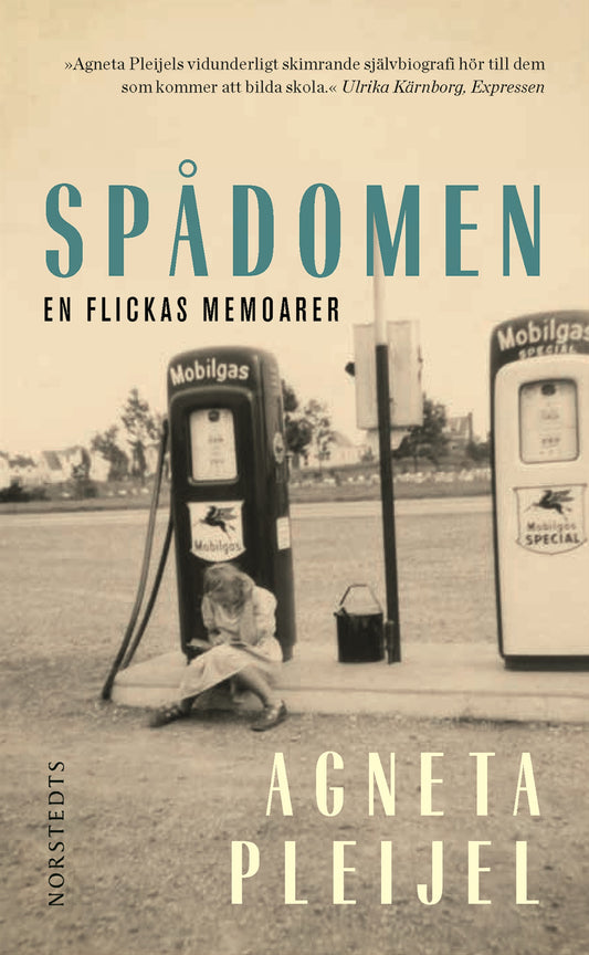 Boktips: Spådomen av Pleijel, Agneta