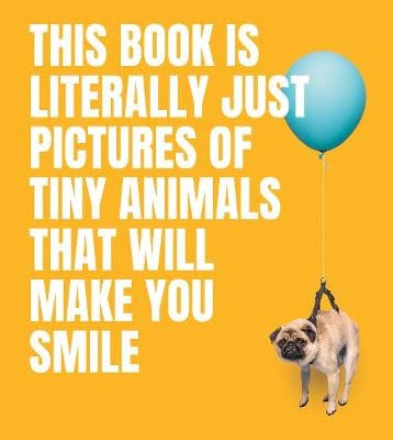 Smith Street Books | This Book Is Literally Just Pictures of Tiny Animals That Will Make You Smi