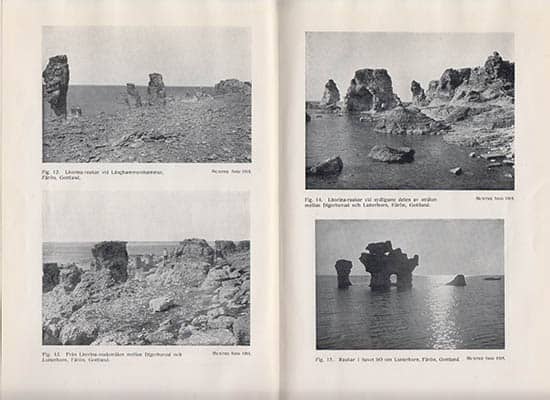 Munthe, Henrik | Sveriges raukar jämte exempel på pseudoraukar : Naturskyddsutredning av Henr. Munthe