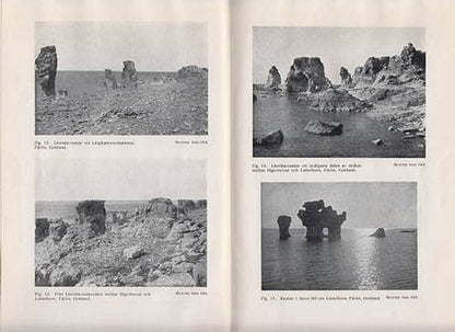 Munthe, Henrik | Sveriges raukar jämte exempel på pseudoraukar : Naturskyddsutredning av Henr. Munthe