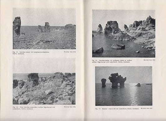 Munthe, Henrik | Sveriges raukar jämte exempel på pseudoraukar : Naturskyddsutredning av Henr. Munthe