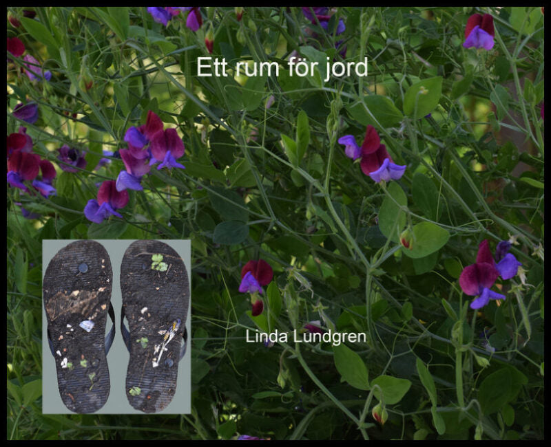 Lundgren, Linda | Ett rum för jord