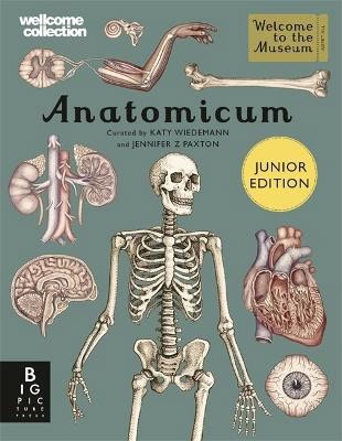Paxton, Jennifer Z | Anatomicum Junior
