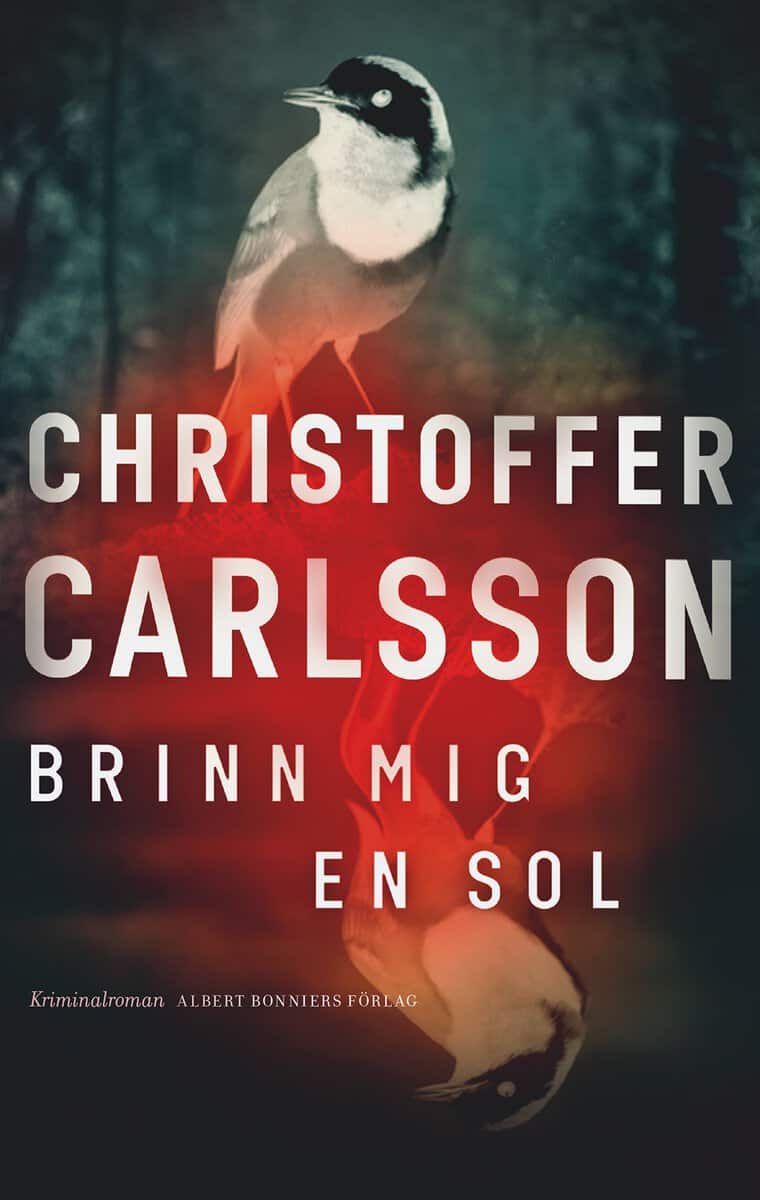 Carlsson, Christoffer | Brinn mig en sol