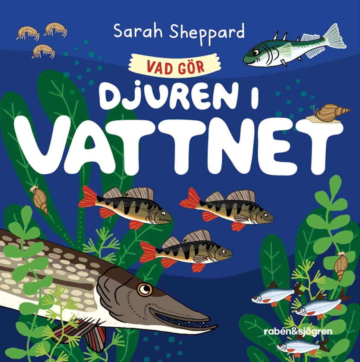 Sheppard, Sarah | Vad gör djuren i vattnet?