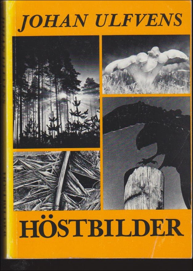 Ulfvens, Johan | Höstbilder