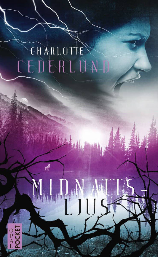 Cederlund, Charlotte | Midnattsljus