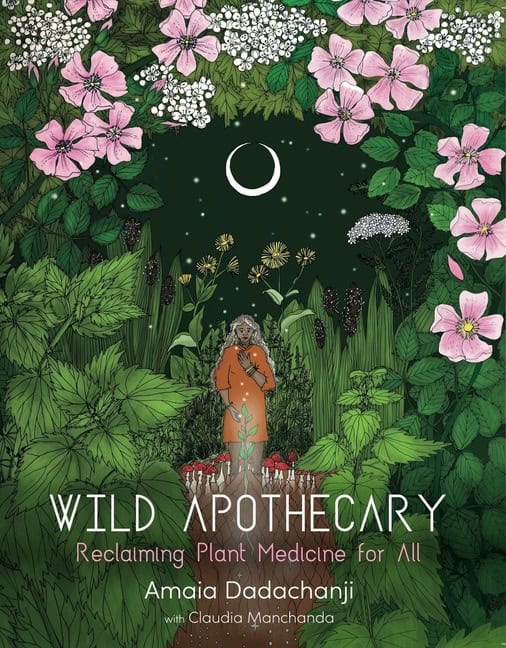 Amaia Dadachanji | Wild Apothecary