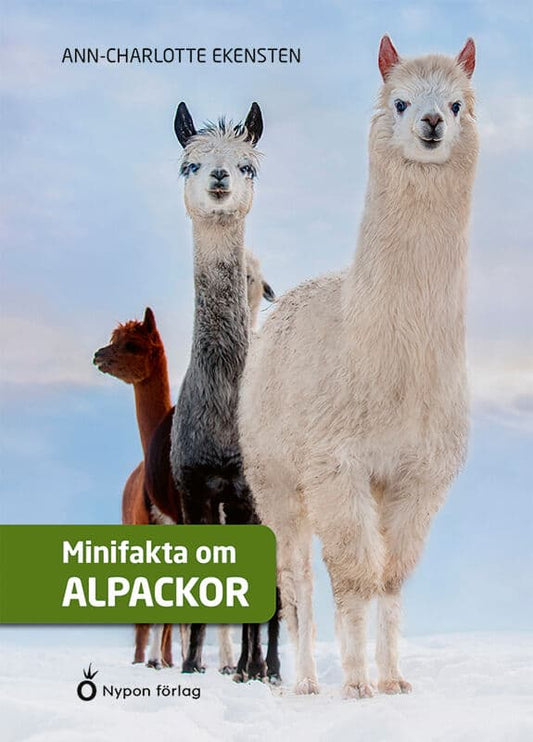 Ekensten, Ann-Charlotte | Minifakta om alpackor
