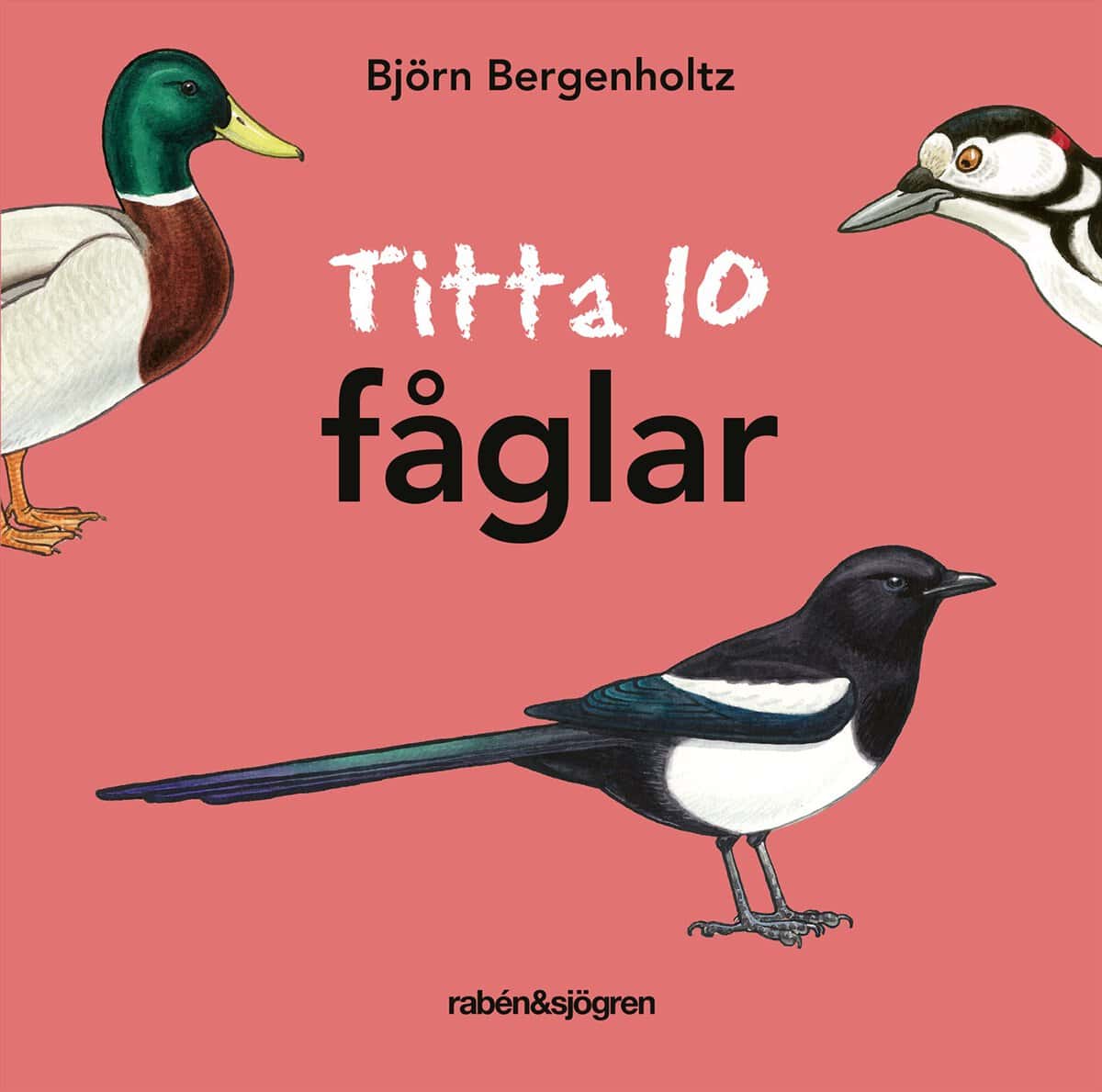 Bergenholtz, Björn | Titta 10 fåglar