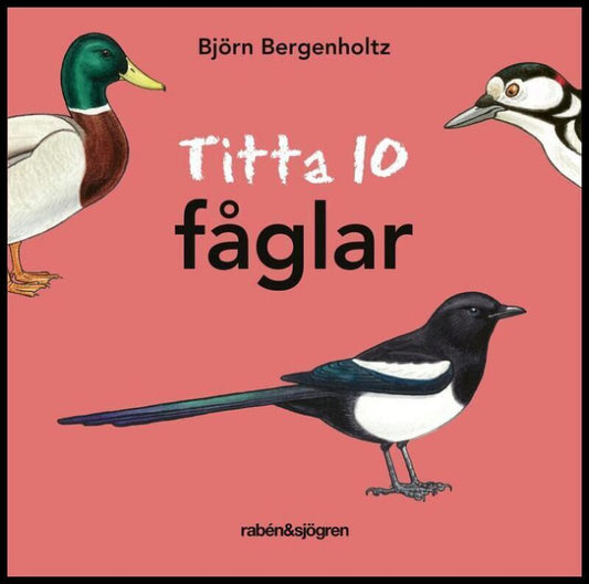 Bergenholtz, Björn | Titta 10 fåglar