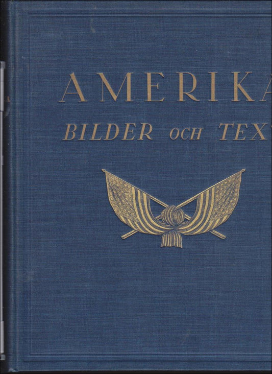 Nielsen, Roger | Amerika i bilder och text