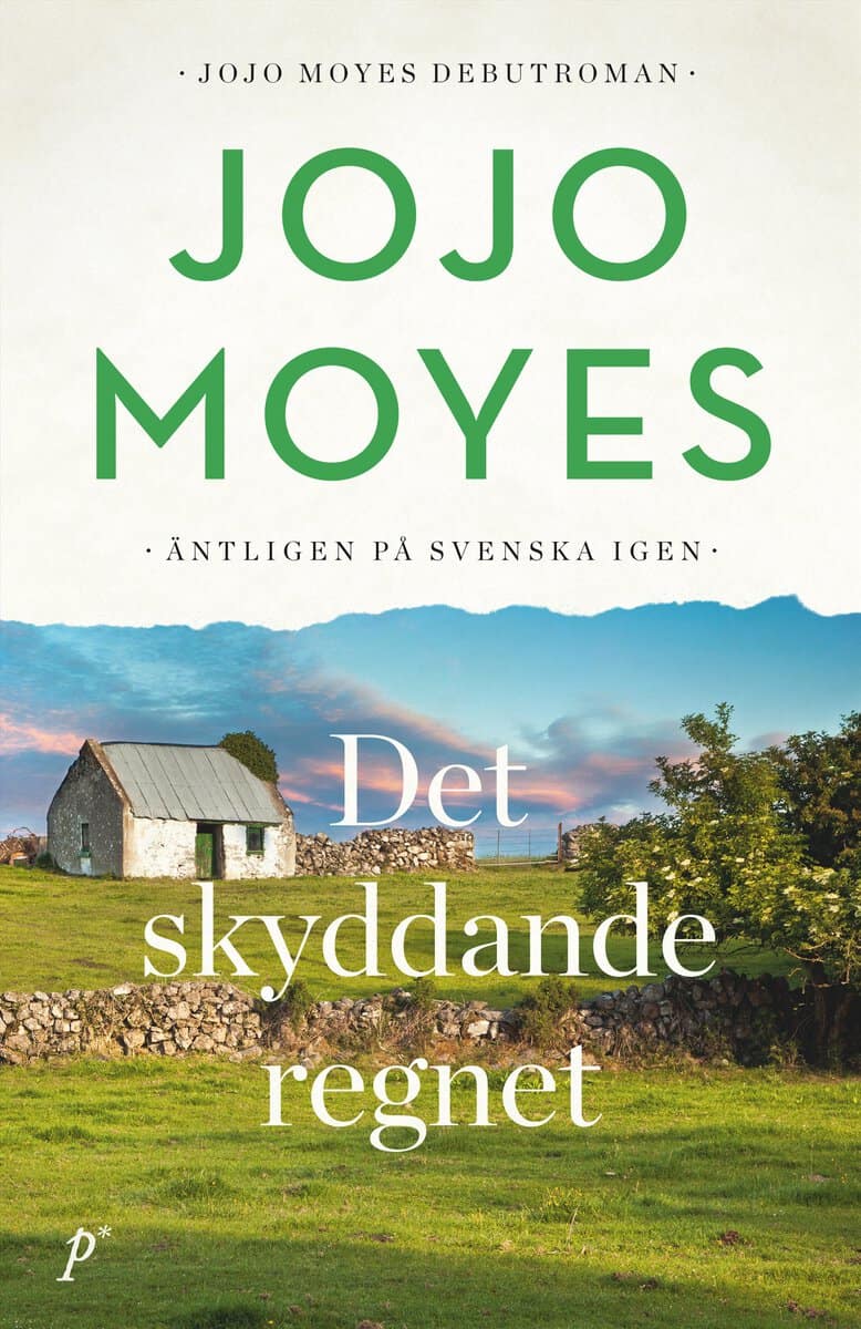 Moyes, Jojo | Det skyddande regnet