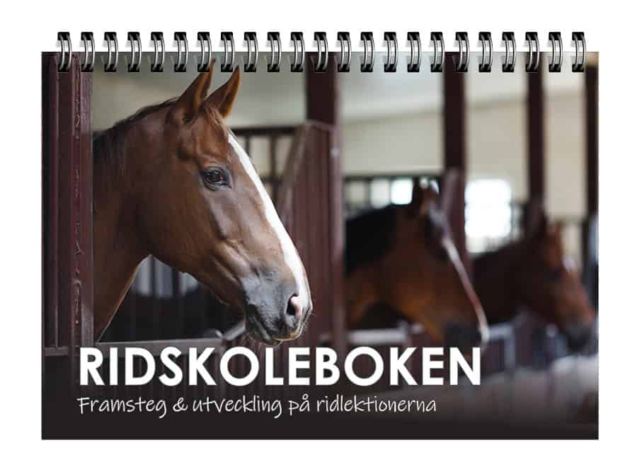 Ridskoleboken : Framsteg & utveckling på ridlektionerna