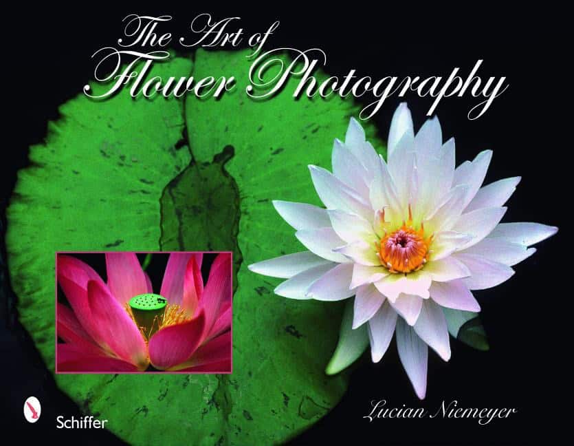 Niemeyer, Lucian | Art of flower photography