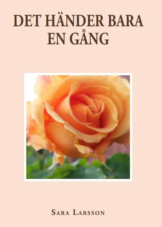 Larsson, Sara | Det händer bara en gång