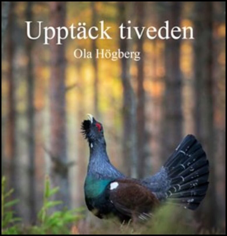 Högberg, Ola | Upptäck Tiveden
