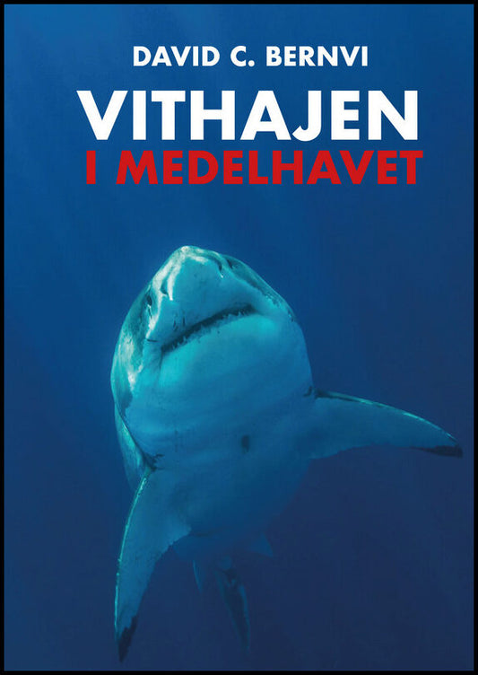 Bernvi, David C. | Vithajen i Medelhavet