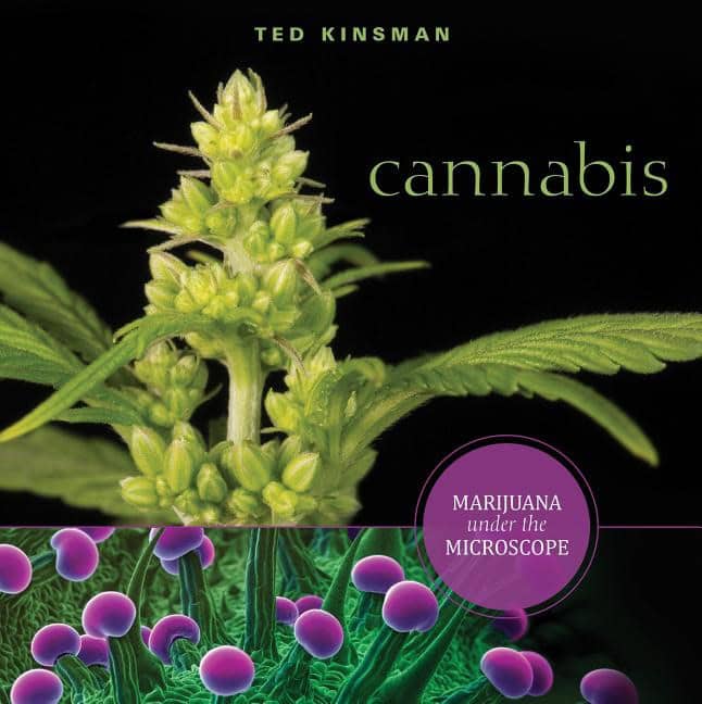 Kinsman, Ted | Cannabis : Marijuana under the microscope