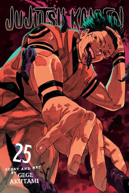 Akutami, Gege | Jujutsu Kaisen, Vol. 25
