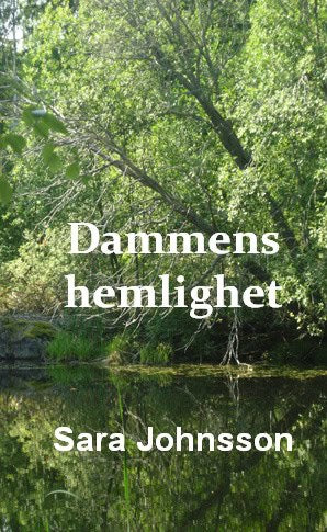 Johnsson, Sara | Dammens hemlighet