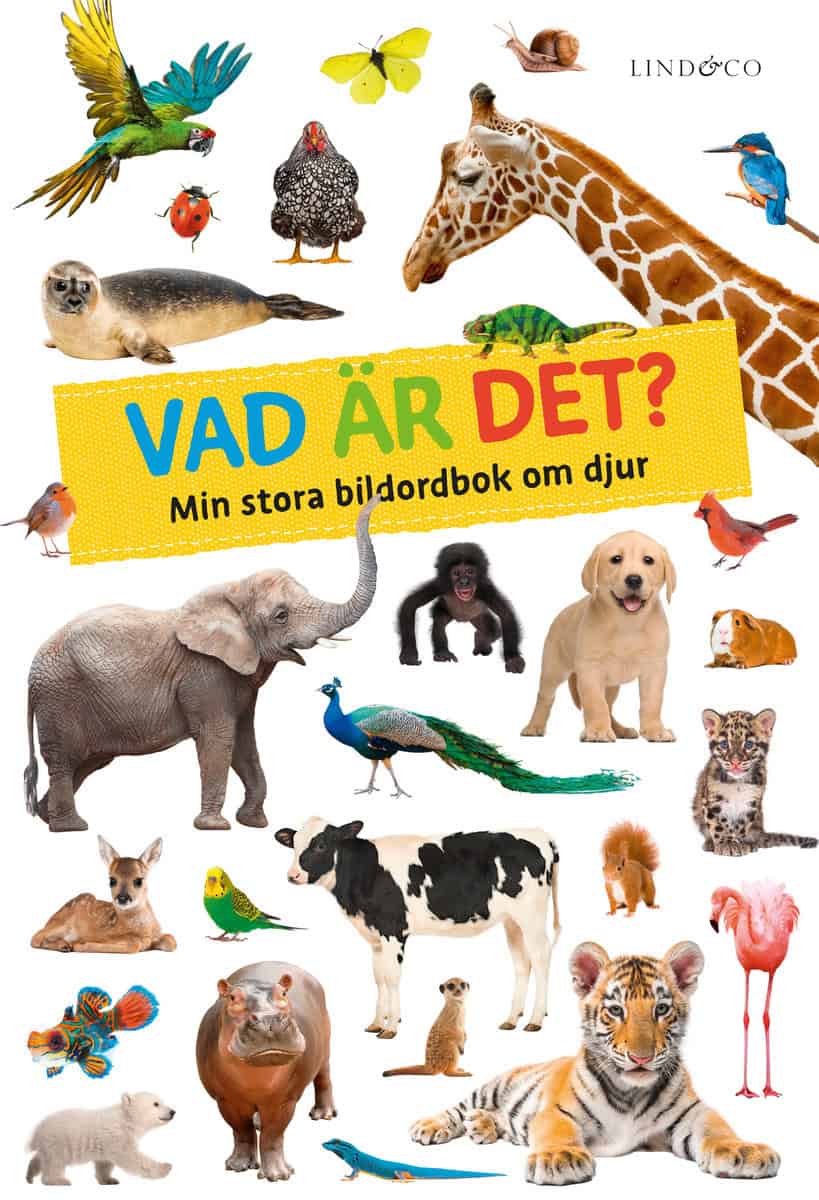 Fischer Verlag | Vad är det? : Min stora bildordbok om djur