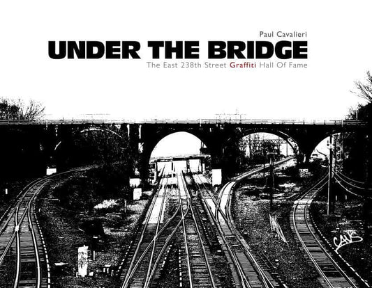 Paul Cavalieri | Under The Bridge : Value, object or array expected.* Line 1, Column 2  Extra non-whitespace after JSON ...
