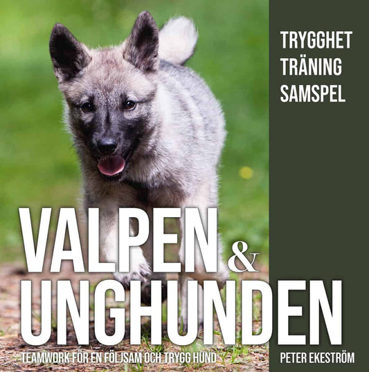 Ekeström, Peter | Valpen & unghunden : Teamwork för en följsam och trygg hund