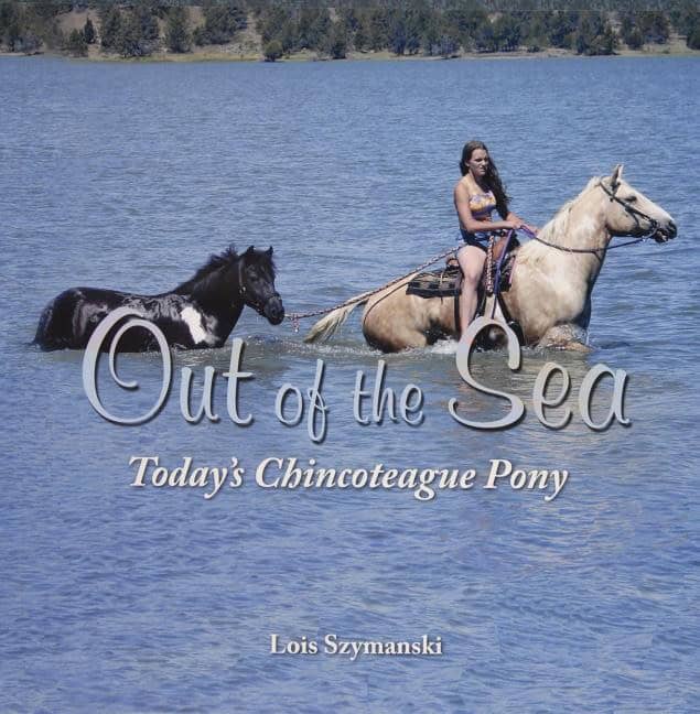 Lois Szymanski | Out Of The Sea, Today’s Chincoteague Pony