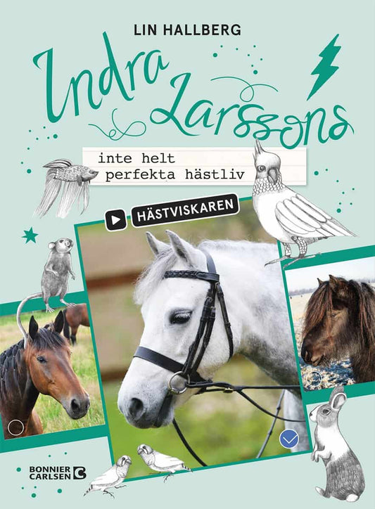 Hallberg, Lin | Indra Larssons inte helt perfekta hästliv