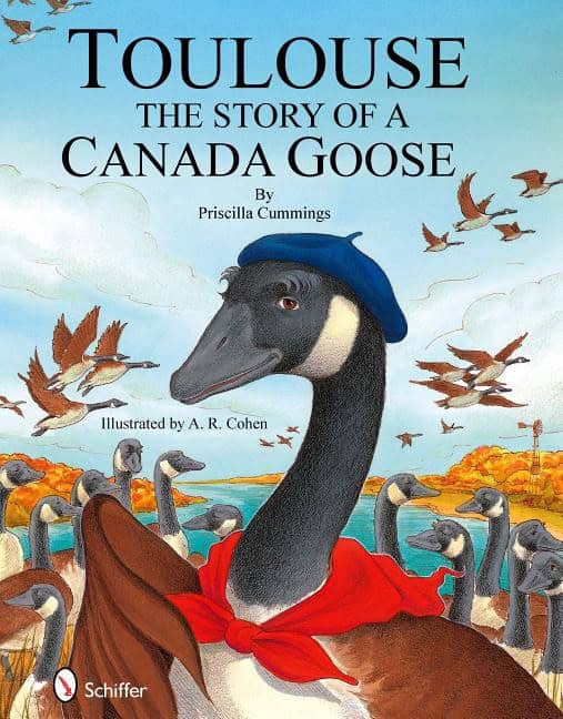 Priscilla Cummings | Toulouse : The Story of a Canada Goose