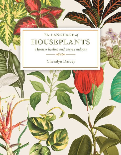Cheralyn Darcey | The Language of Houseplants : Harness Healing and Energy in the Home