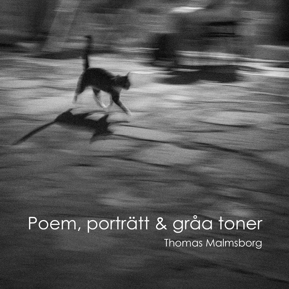 Malmsborg, Thomas | Poem, porträtt & gråa toner