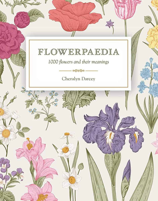 Darcey, Cheralyn (cheralyn Darcey) | Flowerpaedia : 1,000 flowers and their meanings