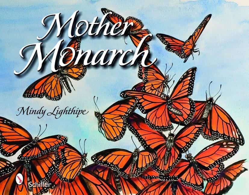 Lighthipe, Mindy | Mother monarch
