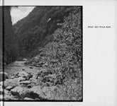 Nord, Truls | Etter far