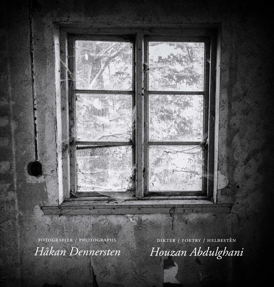 Abdulghani, Houzan | The beauty in the ravage of time