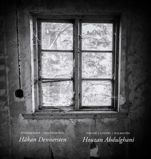 Abdulghani, Houzan | The beauty in the ravage of time