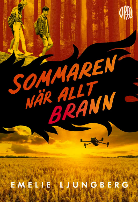 Ljungberg, Emelie | Sommaren när allt brann