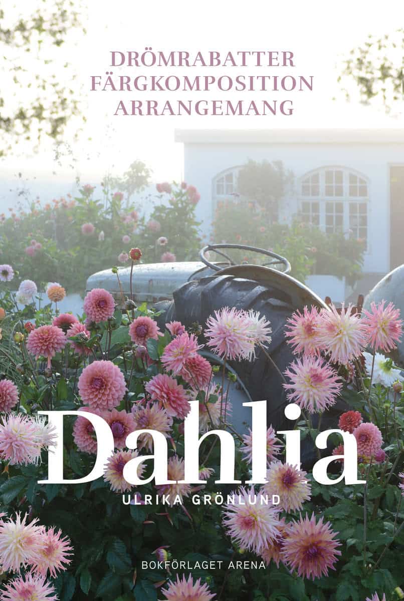 Grönlund, Ulrika | Dahlia : Drömrabatter, färgkomposition och arrangemang