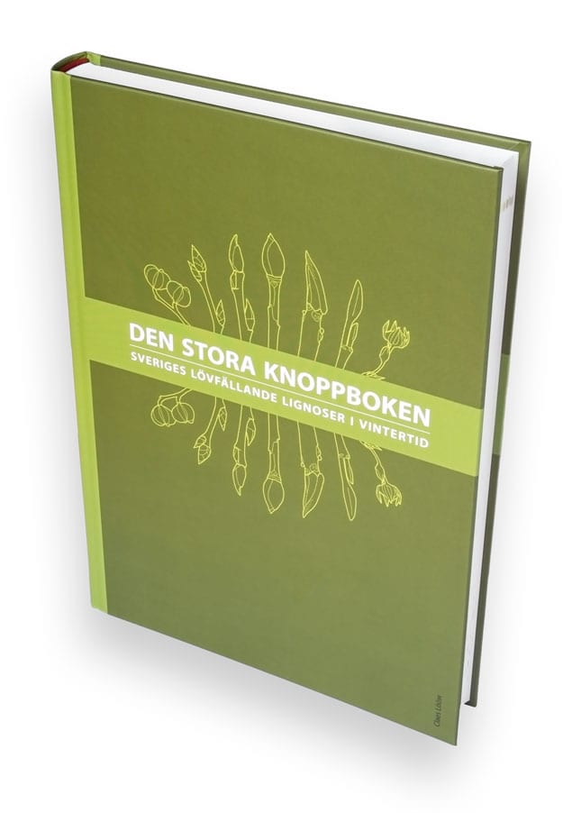 Lööw, Claes | Den stora knoppboken : Sveriges lövfällande lignoser i vintertid