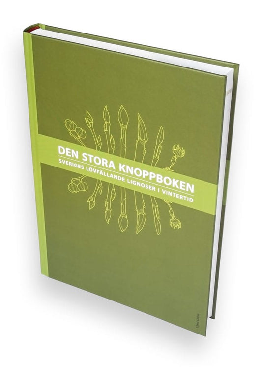 Lööw, Claes | Den stora knoppboken : Sveriges lövfällande lignoser i vintertid