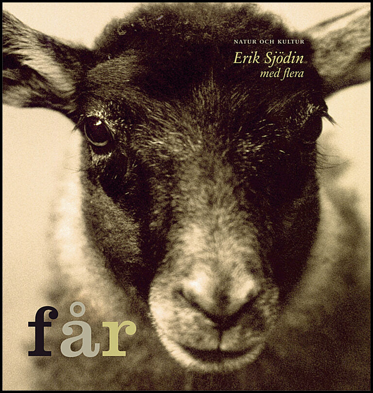 Sjödin, Erik| Hammarberg, Karl-Erik| Sundås, Sten | Får