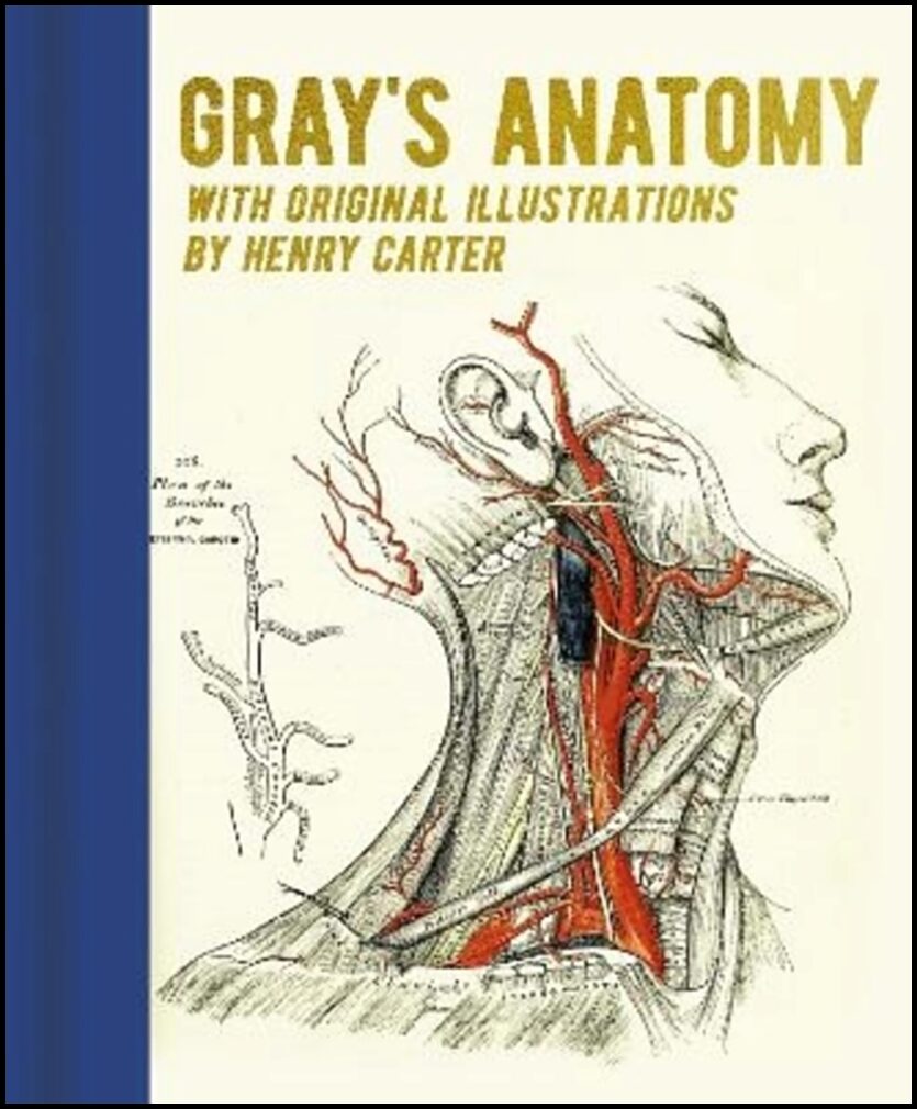 Gray, Henry | Gray's Anatomy