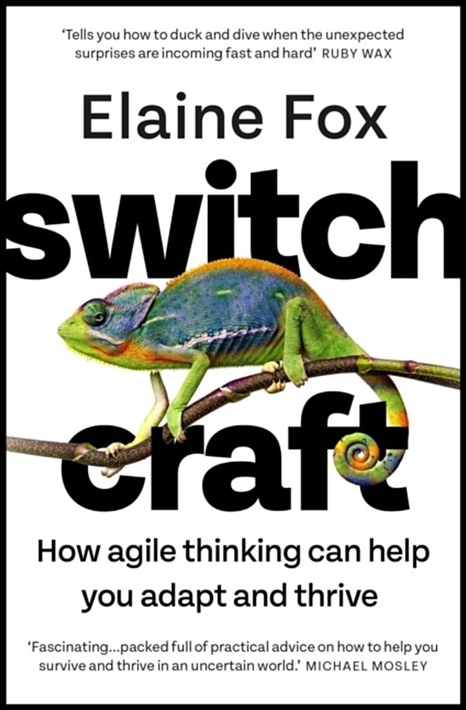 Fox, Elaine | Switchcraft