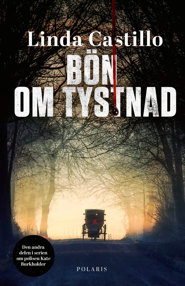 Castillo, Linda | Bön om tystnad